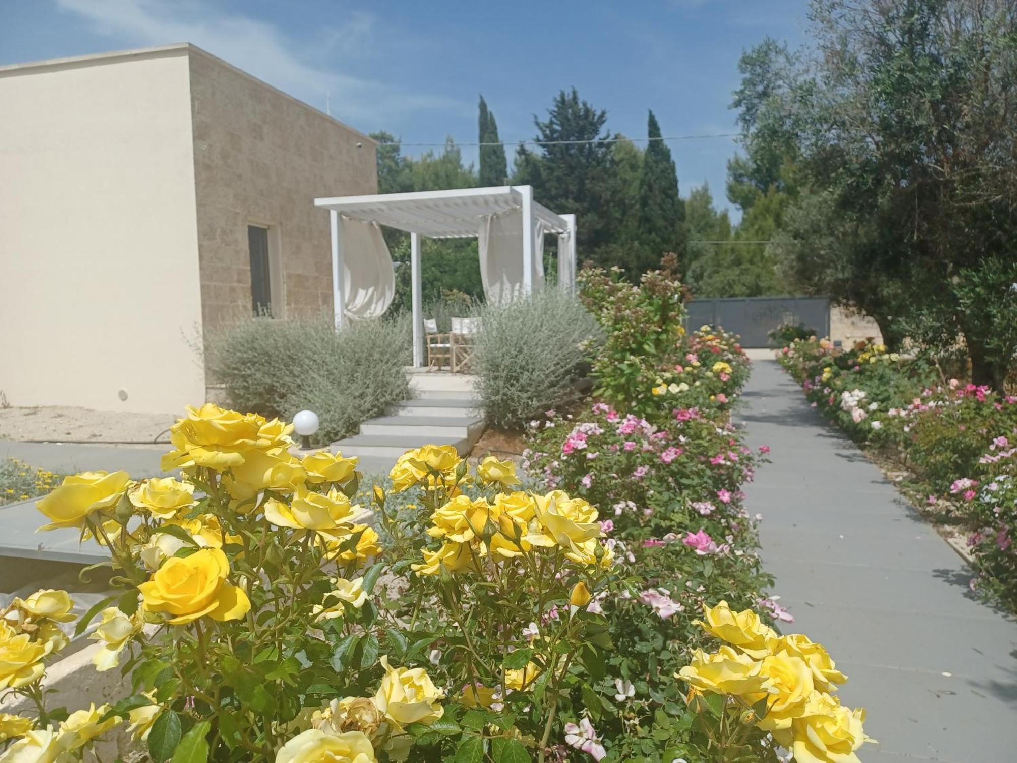 Zeituna Lodge A Porto Cesareo Torre Lapillo Exterior foto